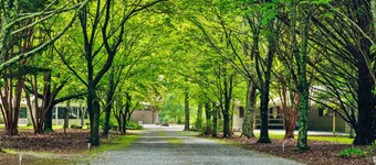 Faith Family Farmhouse | Guest Cottage | Farm | Fire Pit | WiFi | Dog Friendly