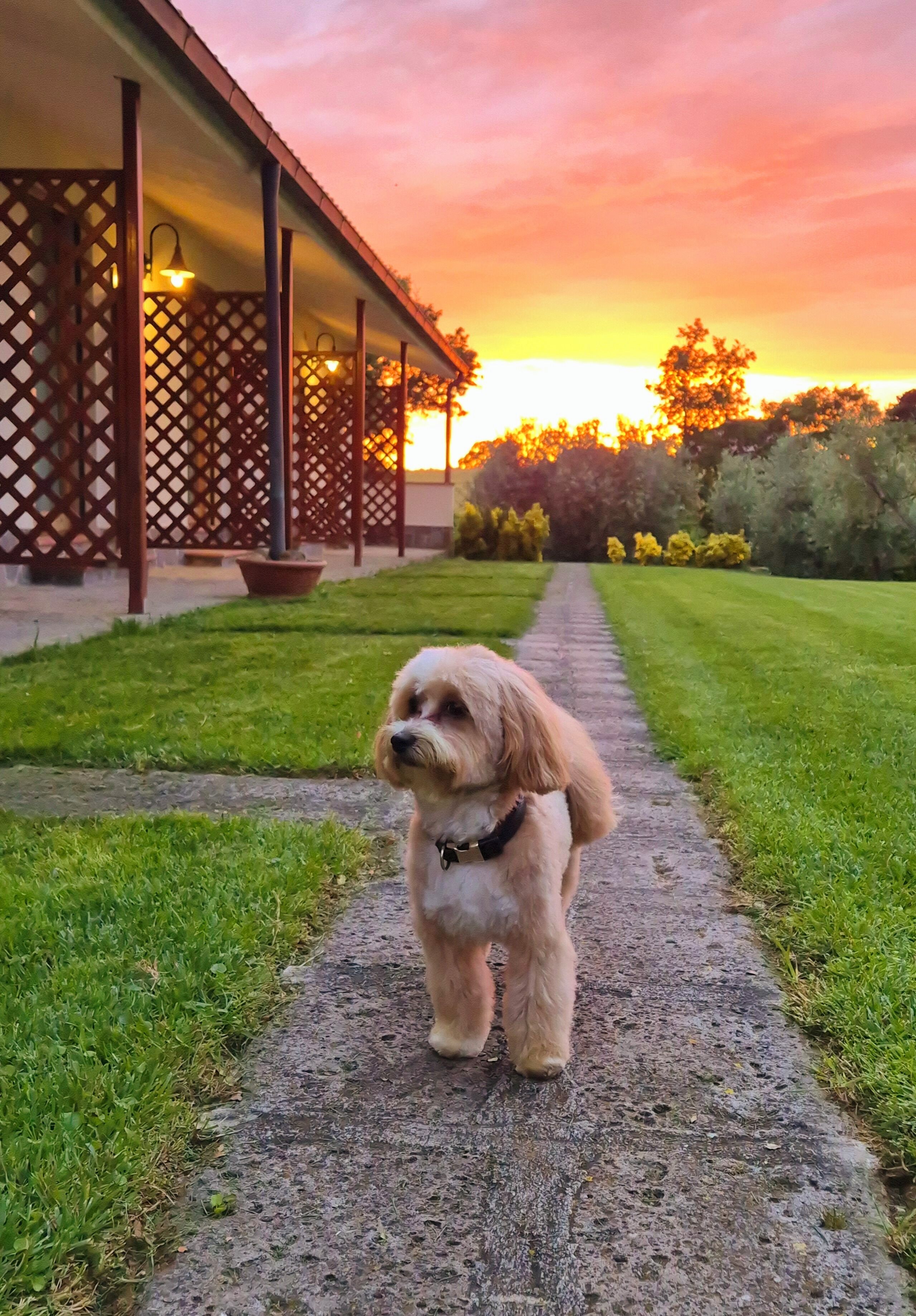 Voorkant van accommodatie