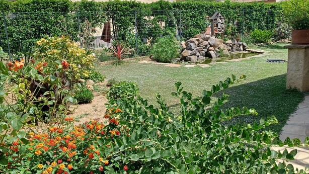Ein Garten mit verschiedenen Pflanzen und einem kleinen Teich.