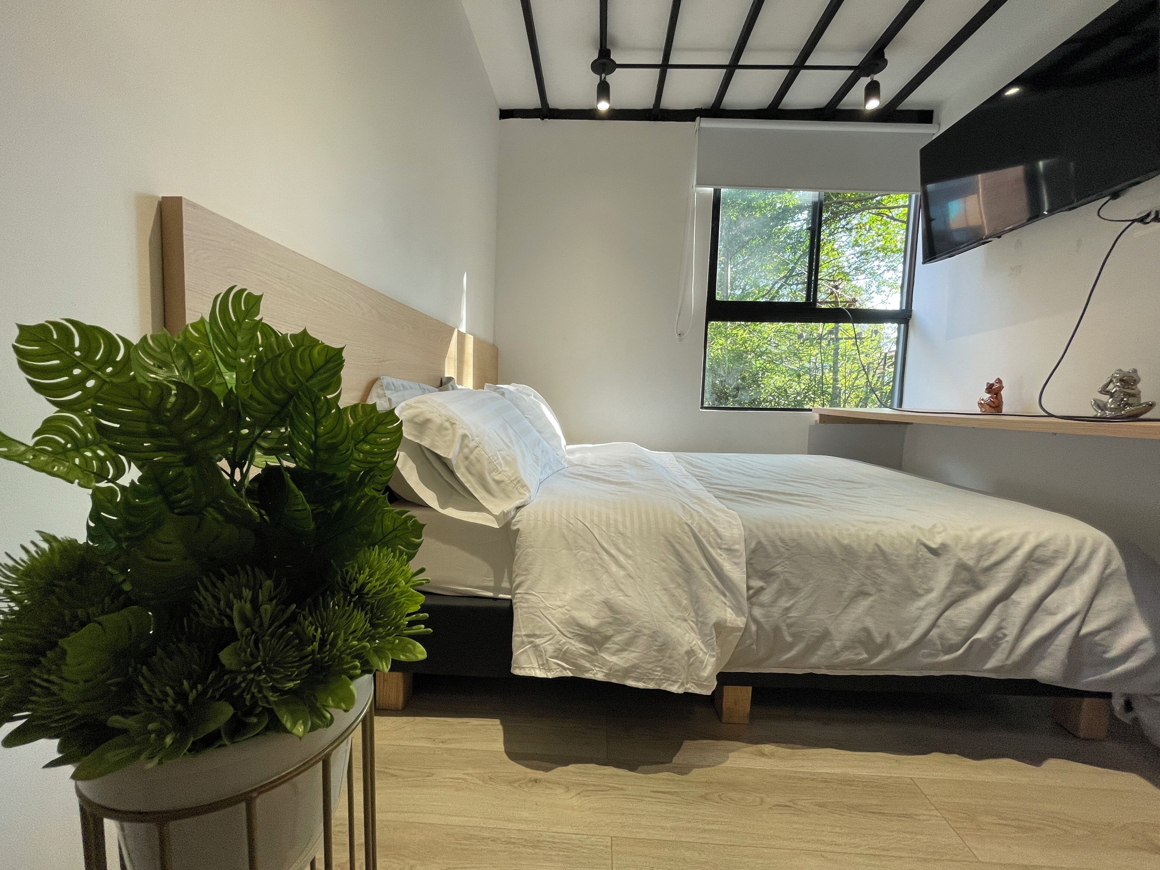 Un dormitorio con cama, ventana con vista a árboles, una planta y televisor en la pared.