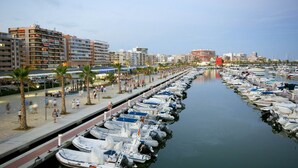 A marina with numerous boats docked along a waterfront promenade lined with palm trees and buildings. - Luxuary Villa with large outdoor area and swimming pool and children's play area (San Fulgencio)