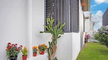 Teres/patio