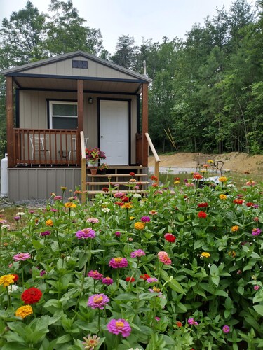 Cozy cabin in the mountains with hiking trails and gorgeous waterfalls close by!