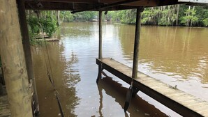 Un muelle de madera que se extiende sobre un río turbio, con árboles y una estructura distante en la orilla opuesta.