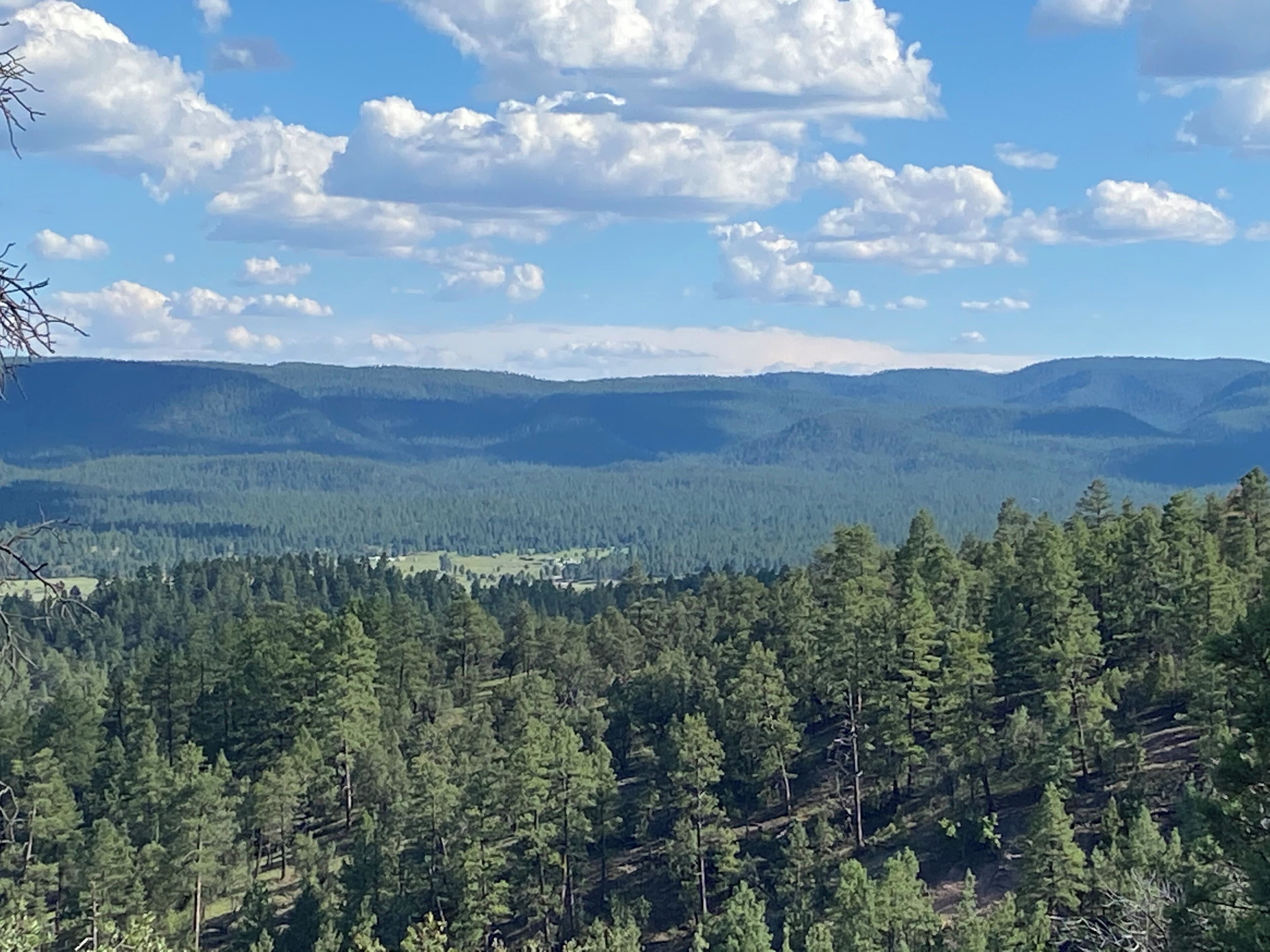 1 dormitorio, wifi, ropa de cama