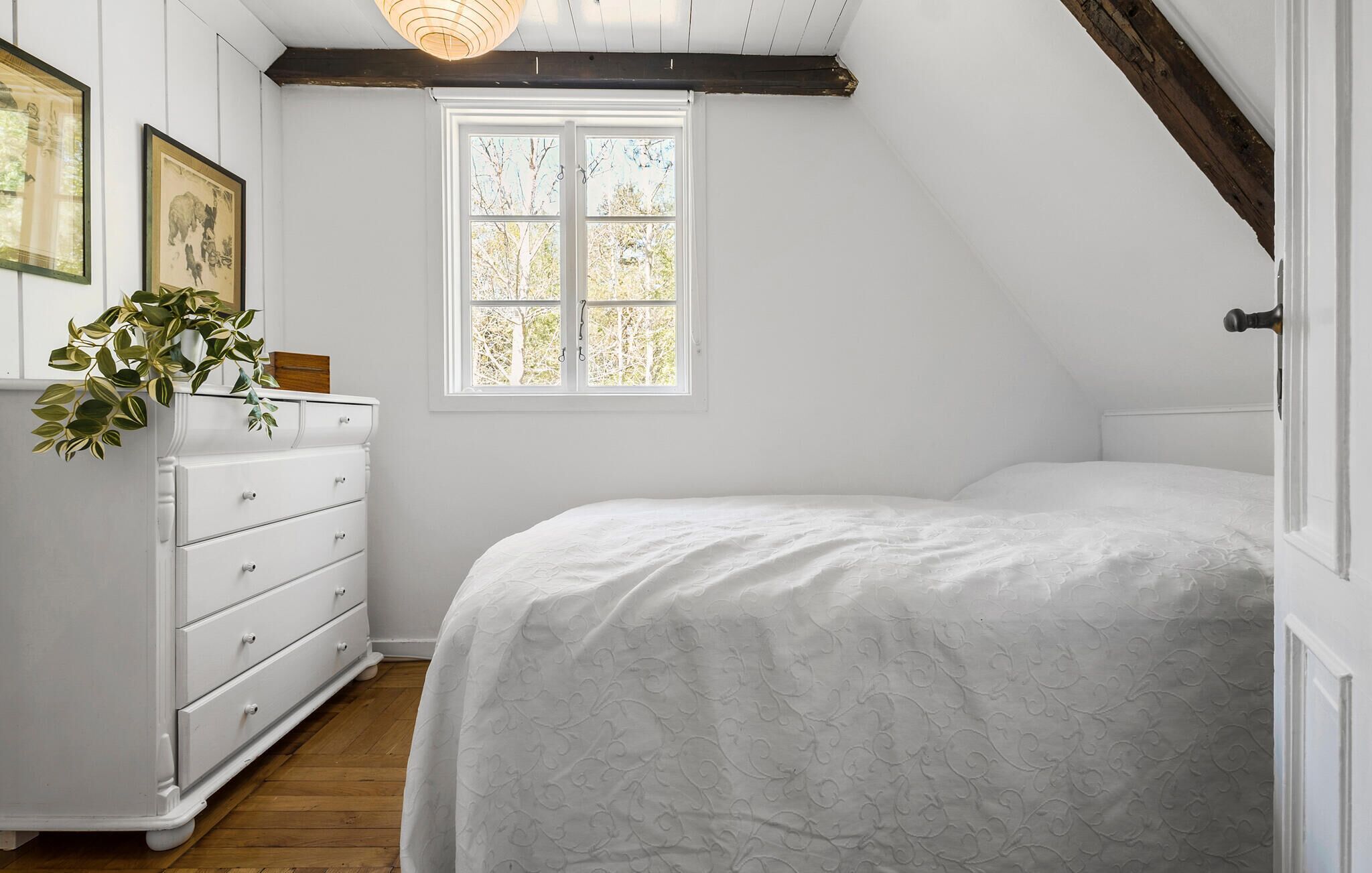 A bedroom with a bed, a dresser, a window, and a plant.