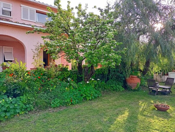 Property grounds - Villa Ontanelli - 500mt from the sea (Marciana Marina)