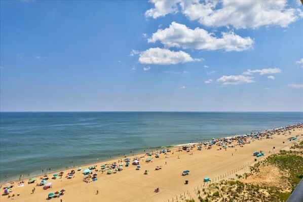 A beach with umbrellas and people.