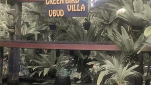 A sign reading "GREEN BIRD UBUD VILLA" amidst lush tropical plants. - Green Bird Villa (Bali)