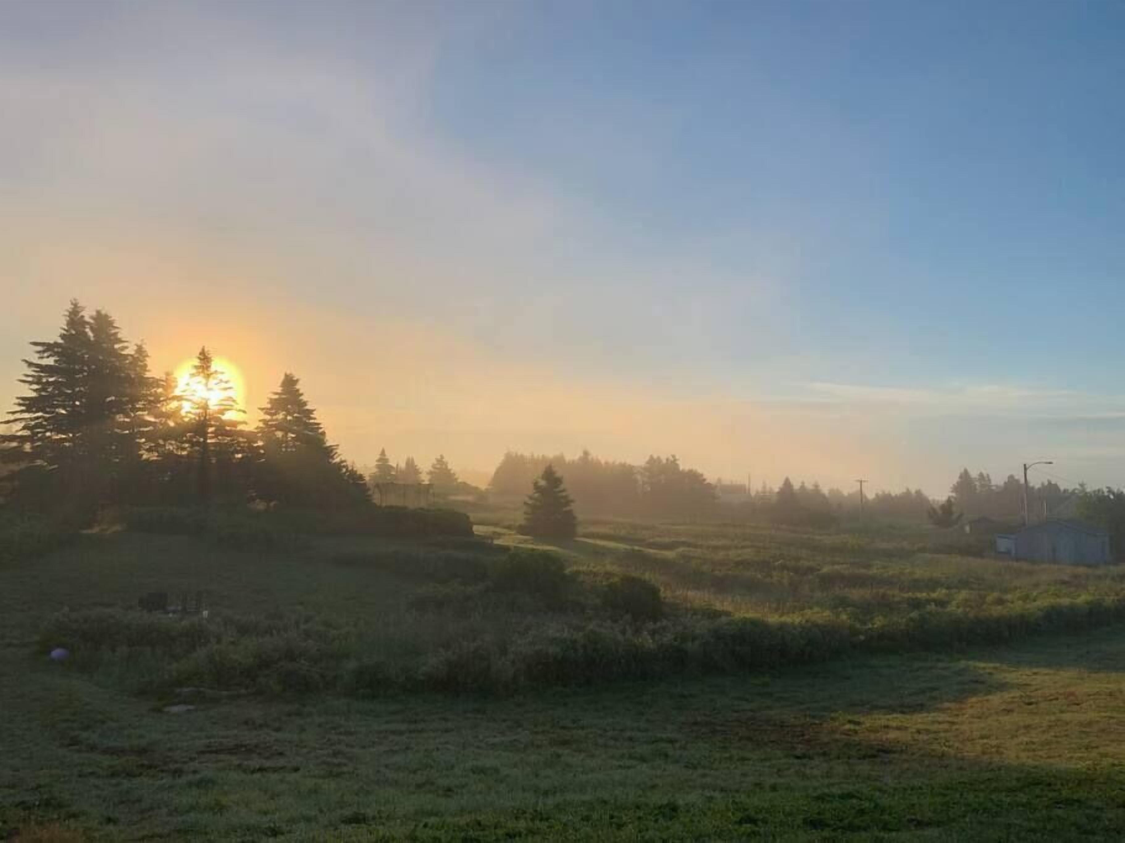 check for deer, morning and evening