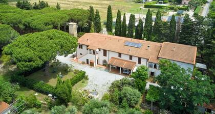 Appartement 'Antichi Palmenti - Mirto' avec jardin partagé et climatisation