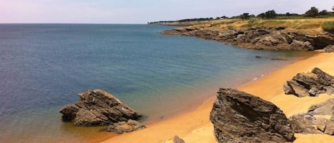 Nära stranden