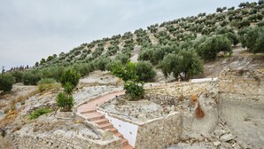 A stone staircase leading up a hill with olive trees and a clear sky. - Holiday Home 'Casa Rural La Encina' with Mountain View, Private Pool and Air Conditioning (Jaén)