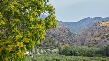A mountainous landscape with dense greenery and a building in the distance.