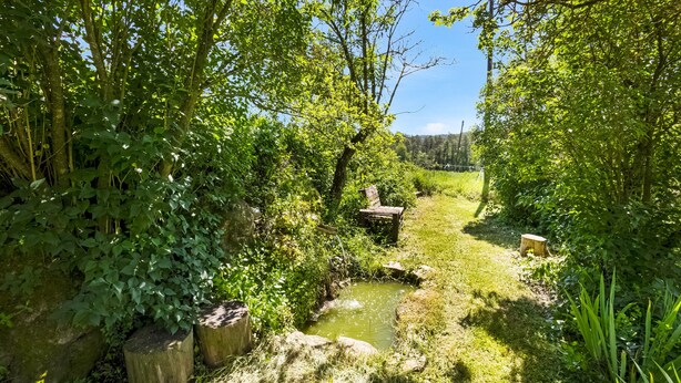 A natural outdoor setting with a small stream, wooden benches, and dense greenery.