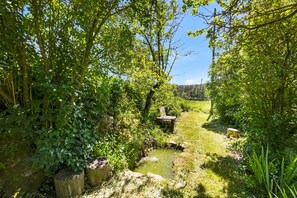 A natural outdoor setting with a small stream, wooden benches, and dense greenery.