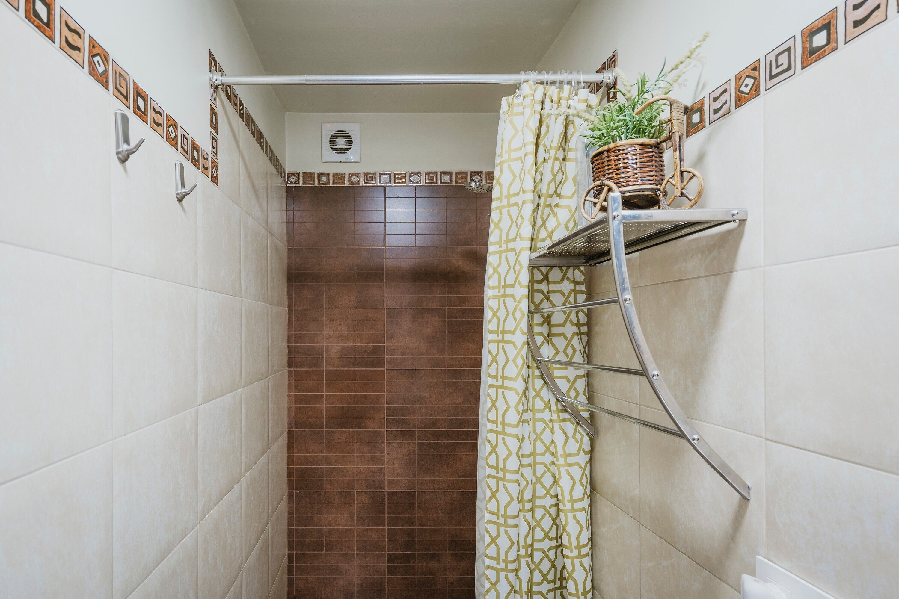 A bathroom with a shower, a towel rack, a potted plant, and a wall-mounted shelf.