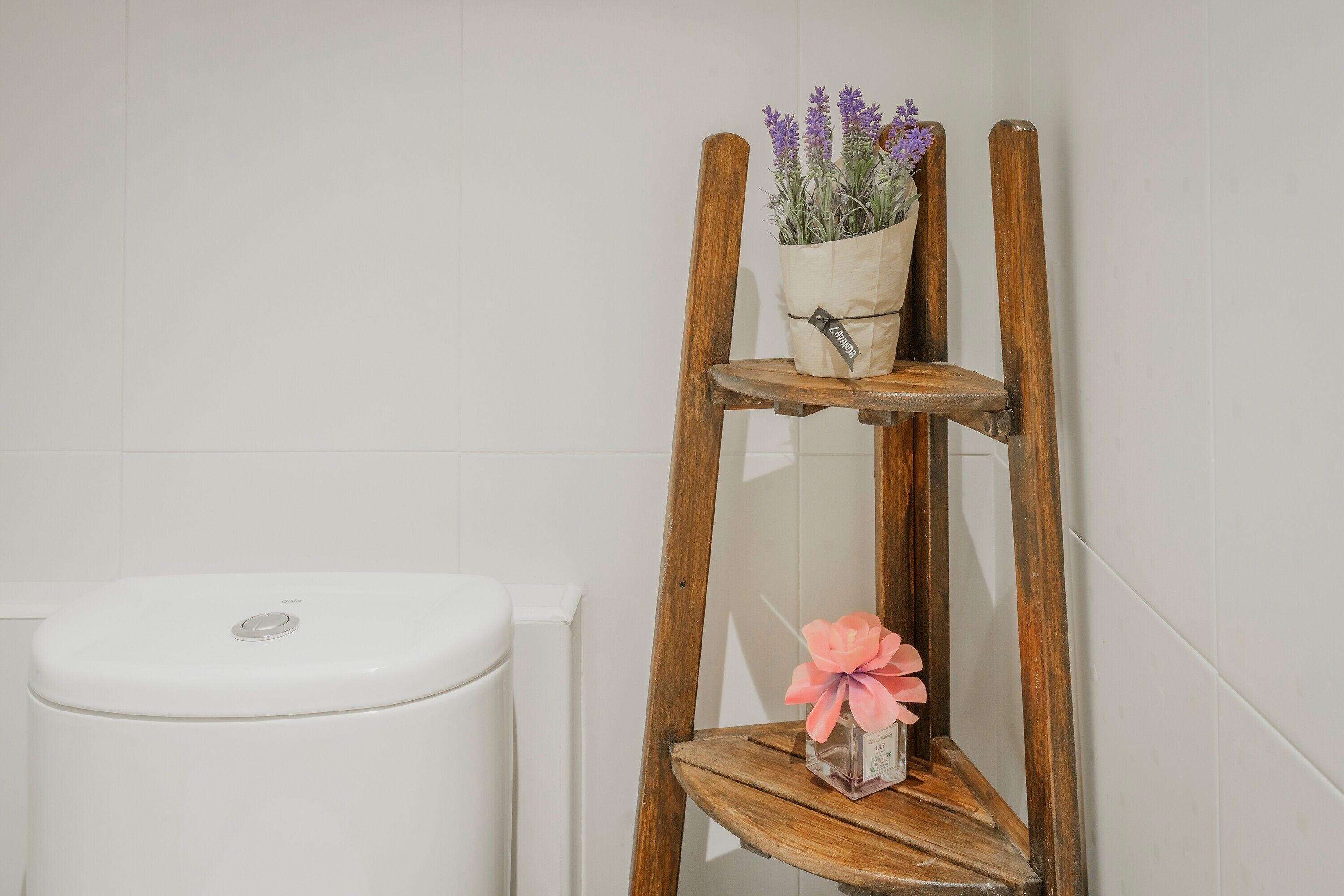 Una sedia di legno con una pianta in vaso e un oggetto decorativo.