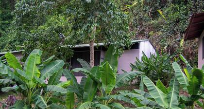 Rio Verde Ecolodge