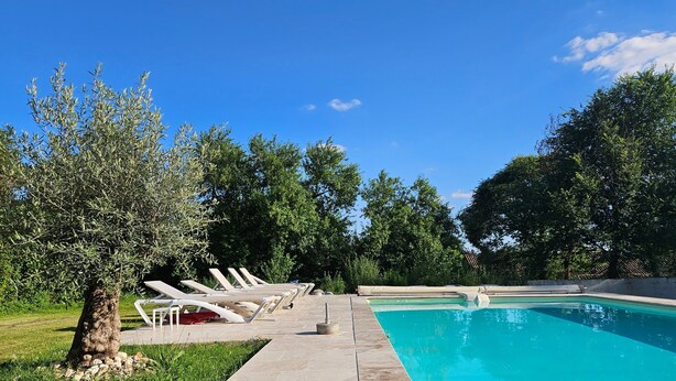 A swimming pool with lounge chairs, a tree, and a clear blue sky. - Magical Stay at Il était une fois Cottage – Shared Pool and Air Conditioning (Beaumontois-en-Périgord)
