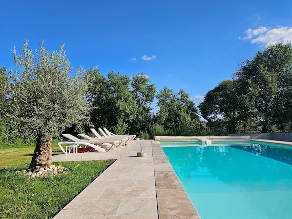 A swimming pool with lounge chairs, a tree, and a clear blue sky.