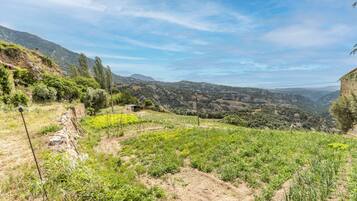 Een glooiend landschap met een onverhard pad, begroeiing en een bergketen in de verte.