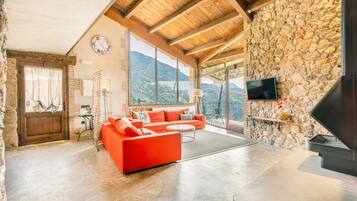 TV, fireplace, ping pong