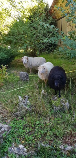 Enceinte de lâhĂ©bergement
