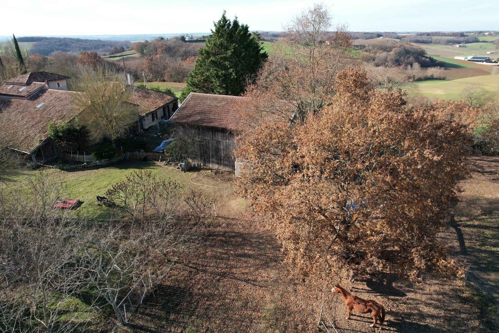 A rural landscape with a barn, a tree, and a small building.