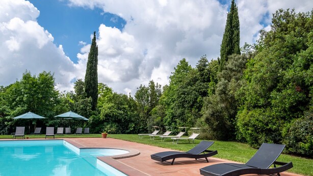 Piscina con sillones de descanso y sombrillas, rodeada de vegetación y árboles.