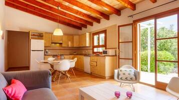 TV, fireplace, ping pong