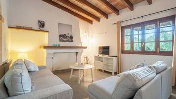 TV, fireplace, table tennis