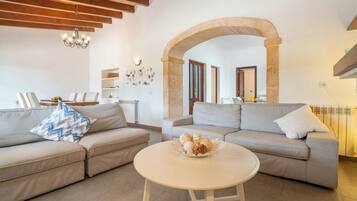 TV, fireplace, table tennis