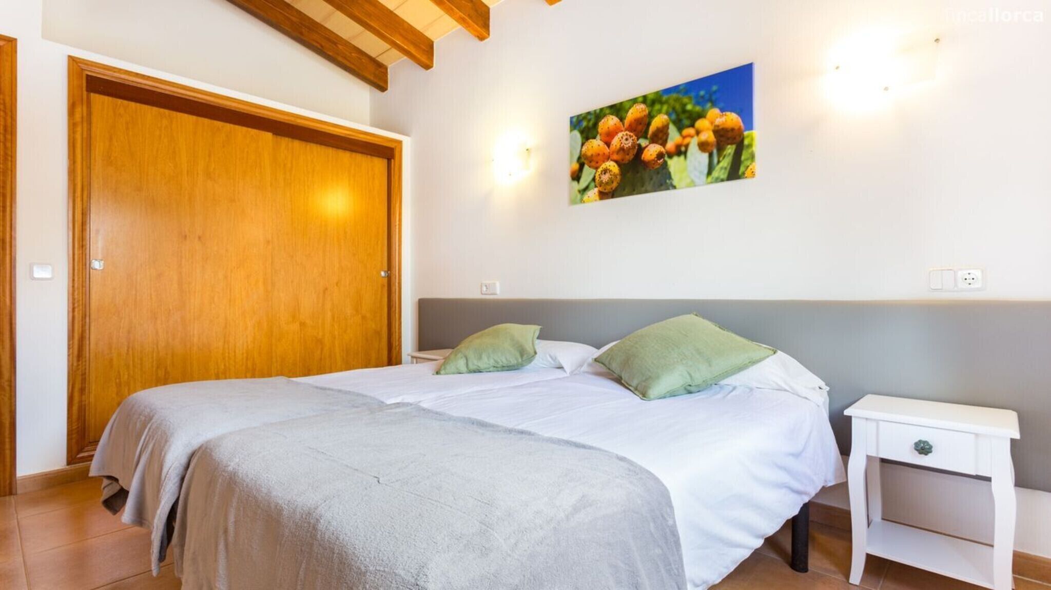 4 camere, ferro/asse da stiro, Wi-Fi gratuito, lenzuola