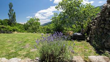 Àrea exterior de l'allotjament