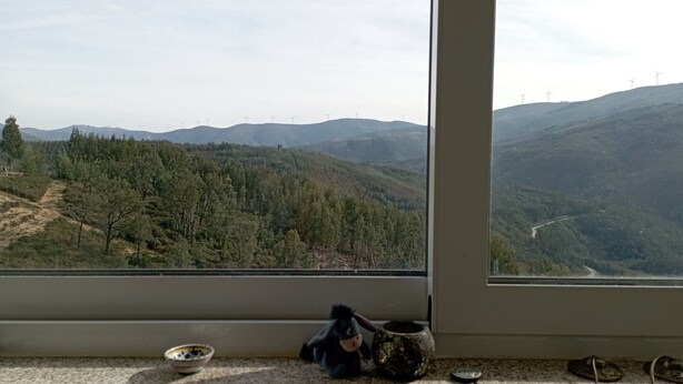 Blick aus dem Fenster auf eine bewaldete Landschaft mit Windkraftanlagen in der Ferne.