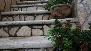 A stone staircase with potted plants on the steps.