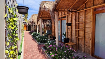 Puerto Bamboo