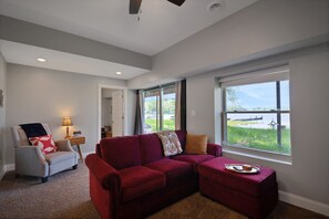 Smart TV, fireplace, books