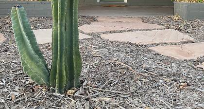 Modern 4 BED/3 BATH Newly Renovated Home