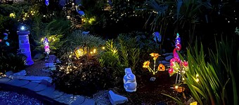 The White Rabbit Inn, we offer a relaxing and romantic getaway experience!