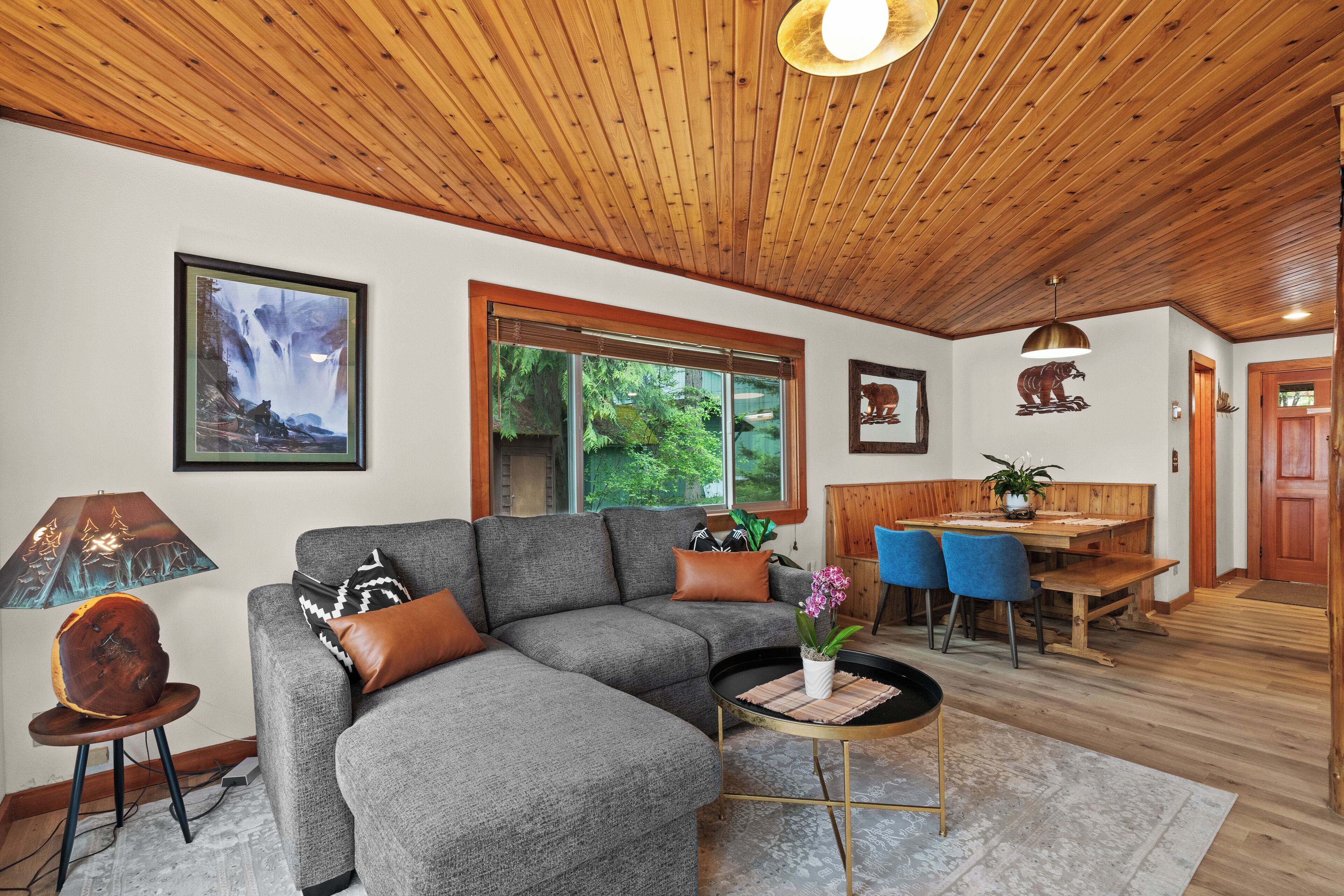 Smart TV, fireplace, video games, DVD player