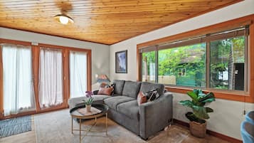 Smart TV, fireplace, video games, DVD player