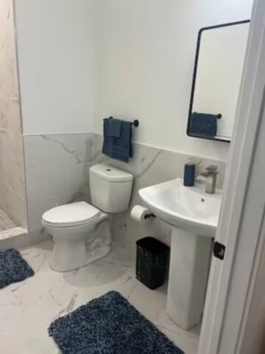 Hair dryer, towels, soap, shampoo