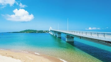 海滩