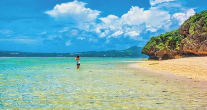 emma green / Kunigamigun Okinawa