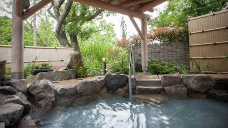 Spa. Nonsmoking Double room Room only plan 3 minut / Ina Nagano