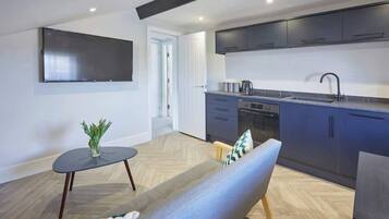 Fernseher, Arbeitsbereiche