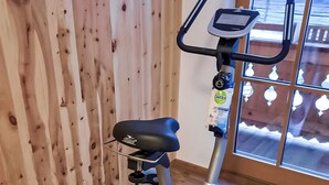 An exercise bike in a room with wooden paneling and a large window. - Althaus 1 by Interhome (Neukirchen am Großvenediger)