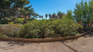 Un área pavimentada con abundante vegetación y un cielo azul despejado.